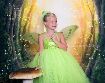 Tinkerbell tutu costume, fairy tutu dress, Tinkerbell tutu dress, wings and halo