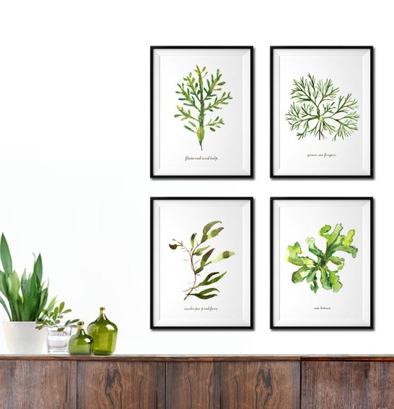 Seaweed watercolor painting Set of 4 Costal art Botanical