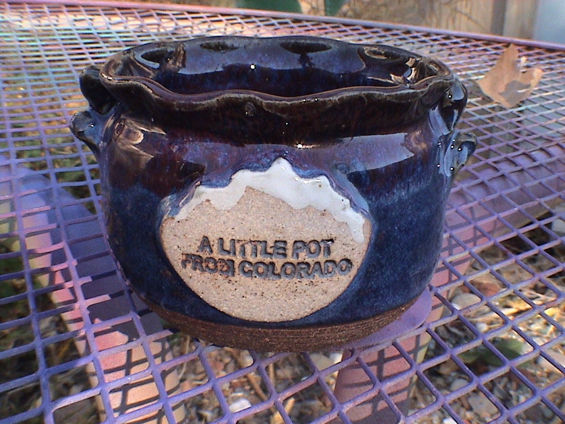 A Little Pot from Colorado