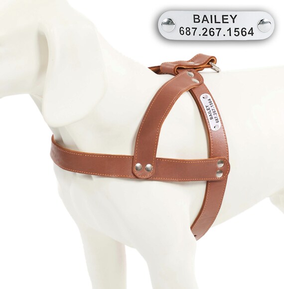 Leather Dog Harness Pitbull Amstaff Free PERSONALIZED