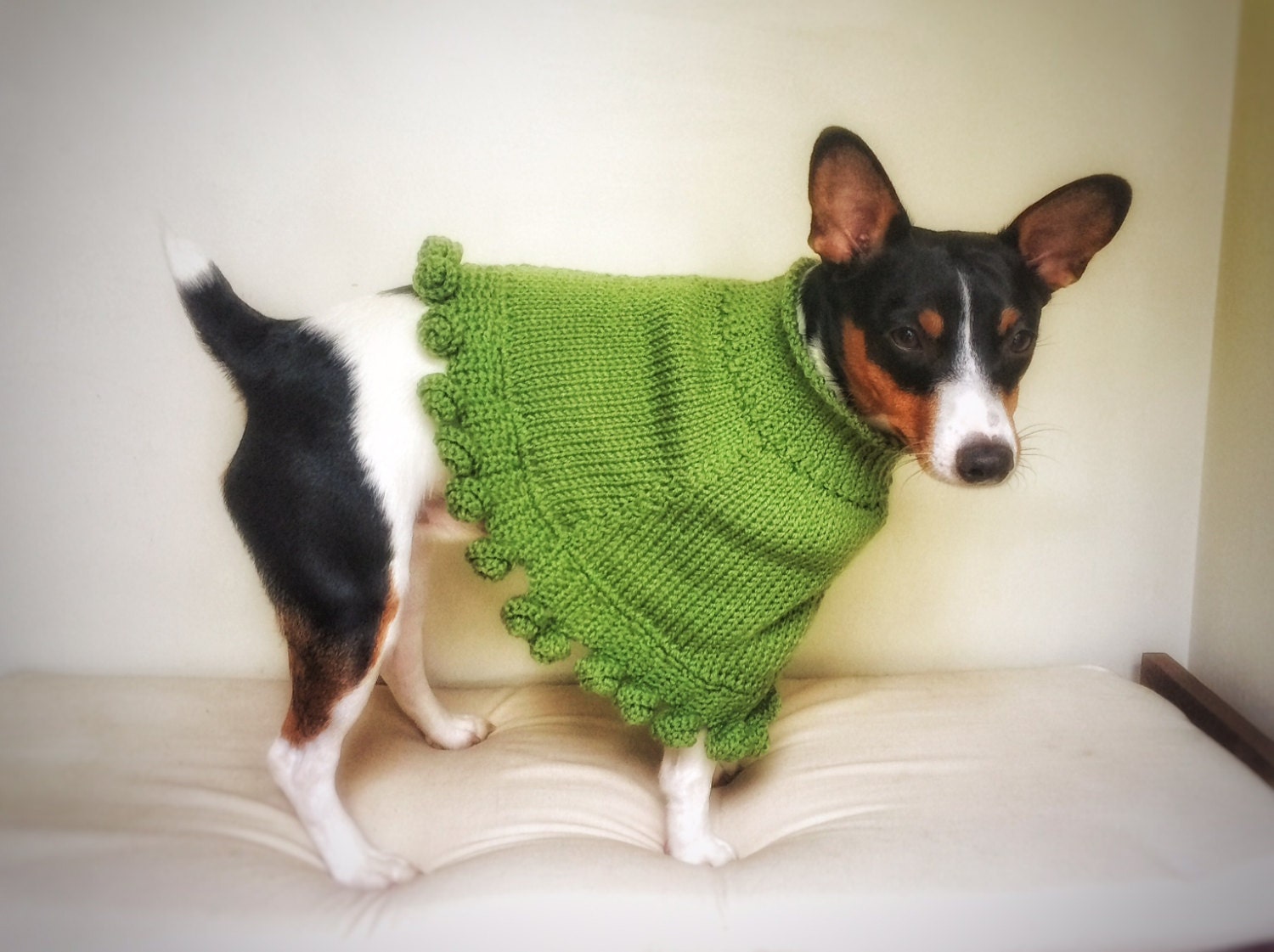 Crochet Knit Dog Poncho Cat Cape Unique Handmade Green Photo