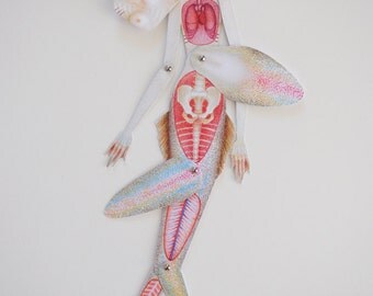 DIY Lift-the-flap Anatomy Paper Doll: Mermaid