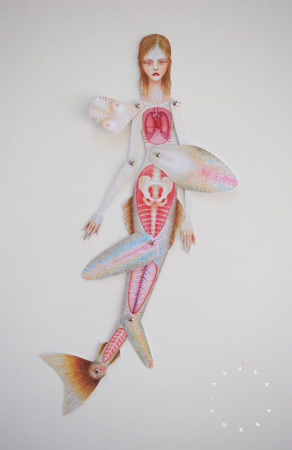 anatomy doll for drawing