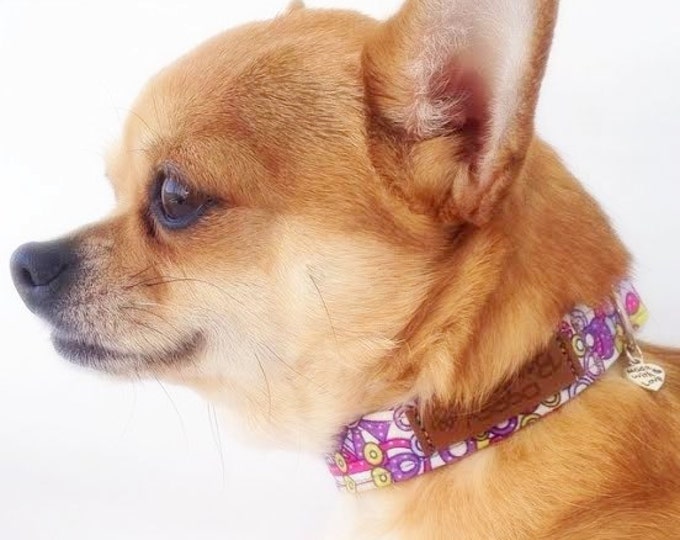 Preppy Dog Collar Aztec Geometric Dog Collar Cute Unique Dog Collar Tribal Girl Dog Collar Small Tiny Dog Collar Fancy Chihuahua Collar