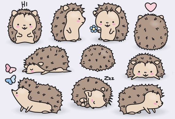 cute hedgehog clipart - photo #37