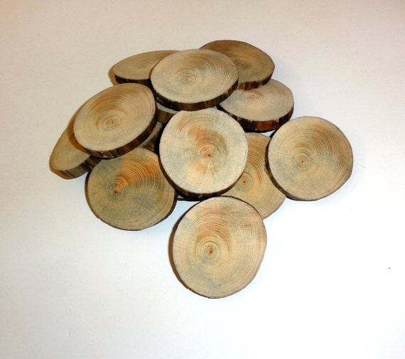 Pine tree slices 12 qty set. Natural ornaments wood slices