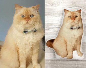 Personalized cat pillow, custom cat pillow, custom pet pillow, personalized pet pillow, cat lover gift, cat gifts, cat pillow, animal pillow