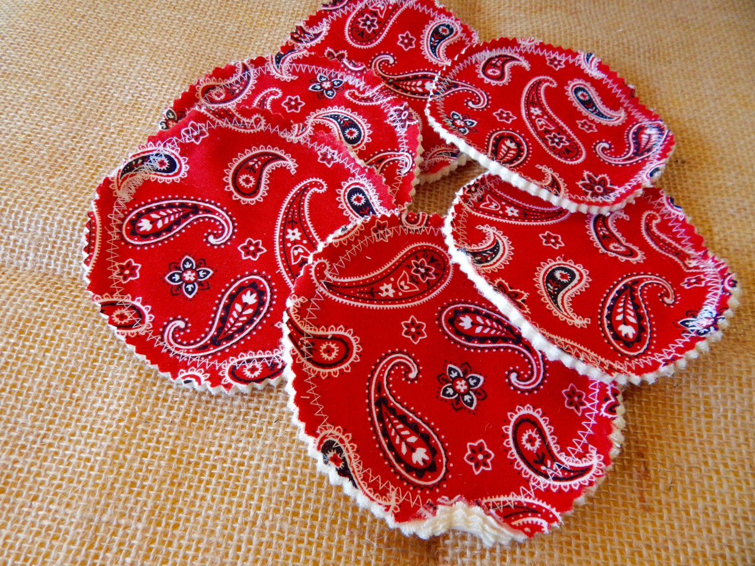 Breast Pads 3 Pairs Red Paisley Cloth Breast Pads