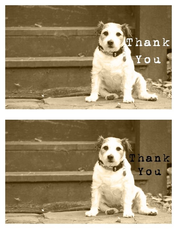 Dog Thank You Card Thank You Card Dogs Printable Thank You