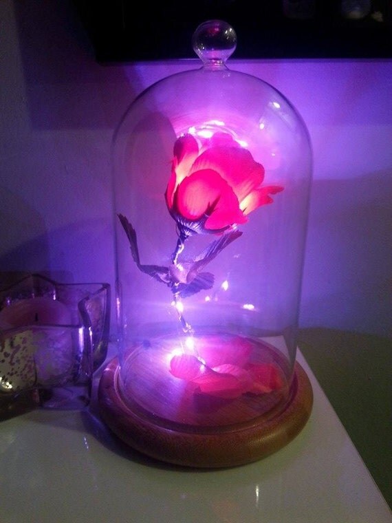 Beauty And The Beast Enchanted Rose valentines by SparkleFairyS