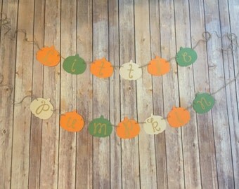 Little Pumpkin banner - Fall baby