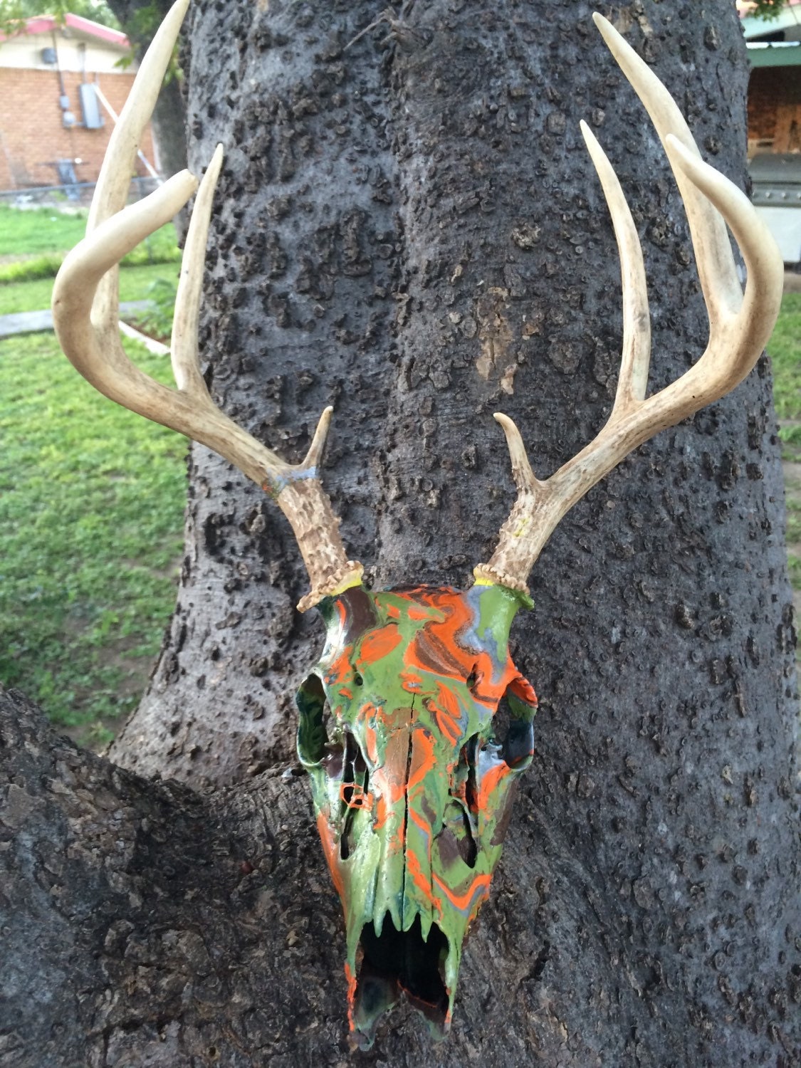 Hydro dipped Whitetail buck Deer Skull 8pts European mount