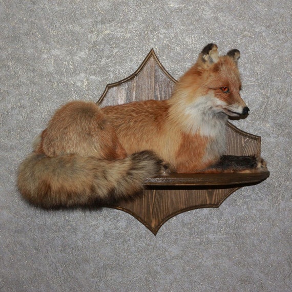 stuffed fox for sale