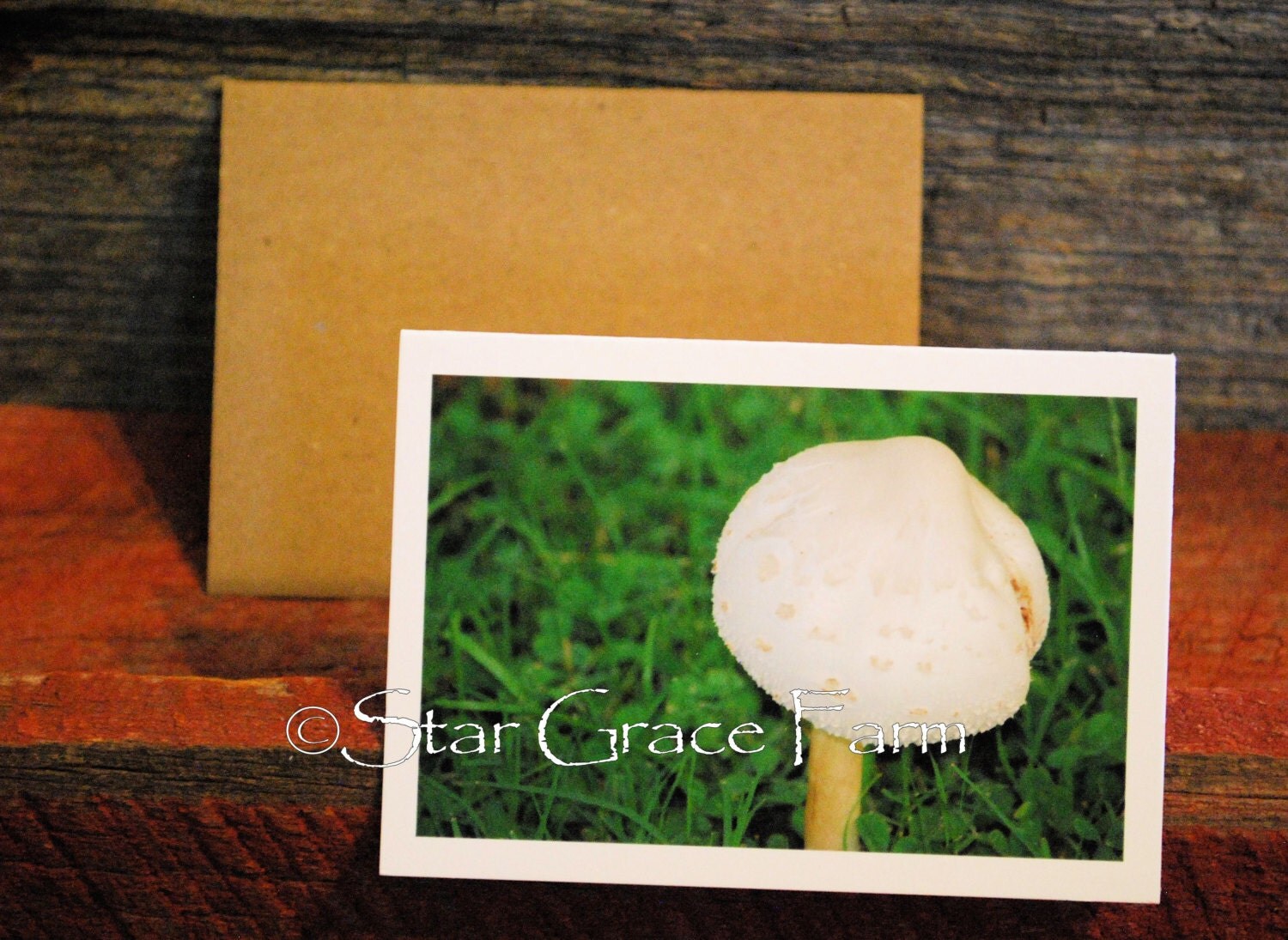 Mushroom Card // Mushroom Photo // Fairies Card // Mini Photo Gift Tag