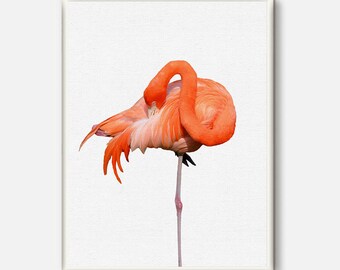 Flamingo, Flamingo Print, Tropical Wall Art, Pink Flamingo, Printable Flamingo, Flamingo Poster, Beach Decor, Art Print, Flamingo Photo