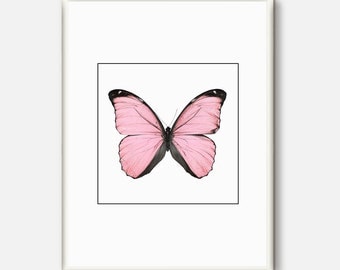 Butterfly Art Print, Beautiful Butterfly Poster, Butterfly Wall Art, Natural History Giclee Print,Nature Print,Gift for Her,Pink Prints