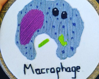 Macrophage in 4 inch frame