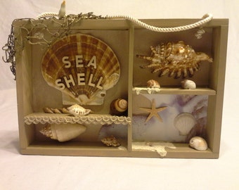 Sea shell Shadow Box, Hanging shadow box, Nautical shadow box