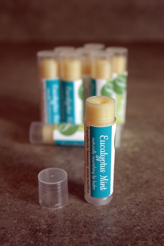 Eucalyptus Mint lip balm 1 tube natural lip by PrestaGoodsLLC
