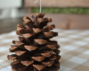 Winter Woods Pine Cone Place-card Holders (Set of 8)