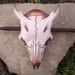 Fawn skull leather hair barrette: Original handmade leather hair barrette