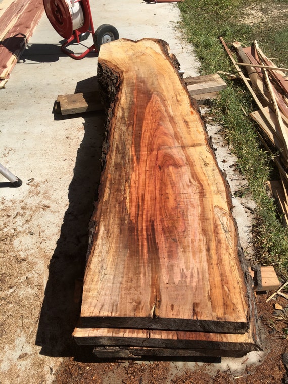 Items similar to Giant Pecan Wood Slabs, pecan wood for counter top