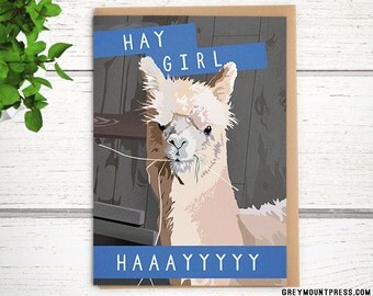 Funny Alpaca greeting card. "Hay Girl Hay." Funny llama card. Hey Girl Hey alpaca birthday card. Funny greeting cards. Funny birthday cards.