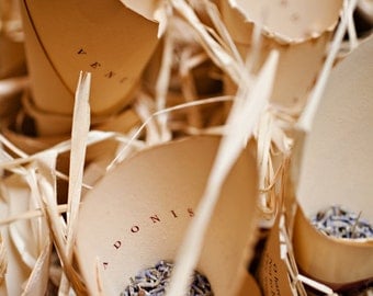 Wedding Reception Ceremony Send Off/Bird Seed or Rice Toss / Food, Popcorn cone / wedding send off / Petal, Confetti, Candy cone, tosser