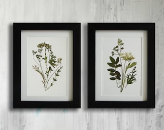 Framed Set of 2 herbarium botanical prints artworks Real pressed flowers Modern wall art Dry flower decor Unique art set framed wall art