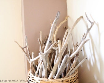 5 Long Driftwood Branches -- Bulk Driftwood Pieces From 50 cm to 70 cm (19.7" to 27.5") -- Natural Drift Wood for DIY Projects and Crafts