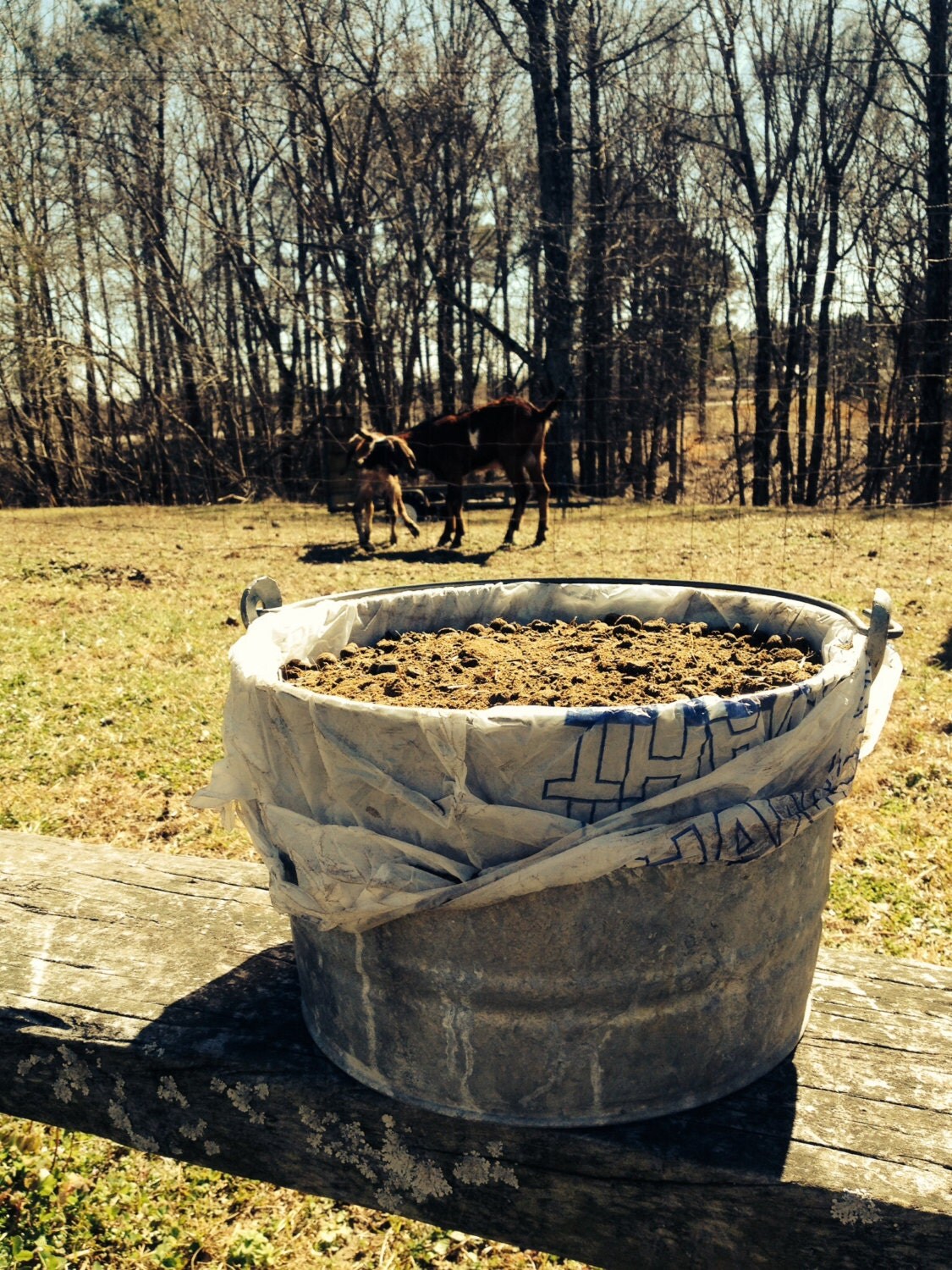 Compost Goat Manure 2 Gallons All Purpose Organic Fertilizer