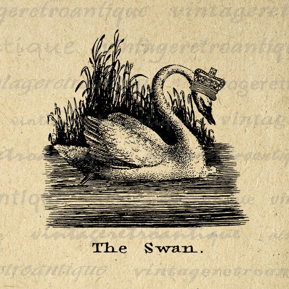 Swan with Crown Printable Graphic Download by VintageRetroAntique