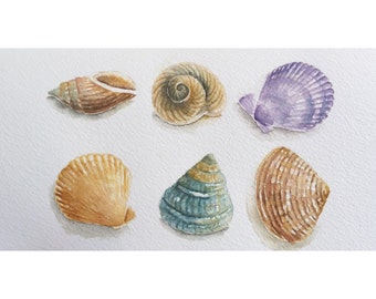 Original realistic watercolor painting of sea stones