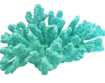 summer beach home decor sea coral decor beach art decor set summer beach home decor sea coral decor beach art decor set