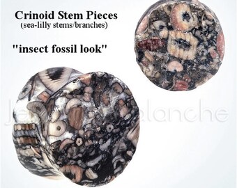 Crinoid "Insect Fossil Look" Jasper Stone Ear Plugs, Double Flare Ear Tunnel Plugs, Camouflage Stone Plugs, Hypoallergenic Organic Plugs