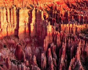 Red River New Mexico Landscape Photography Fine Art by Masbeyondo