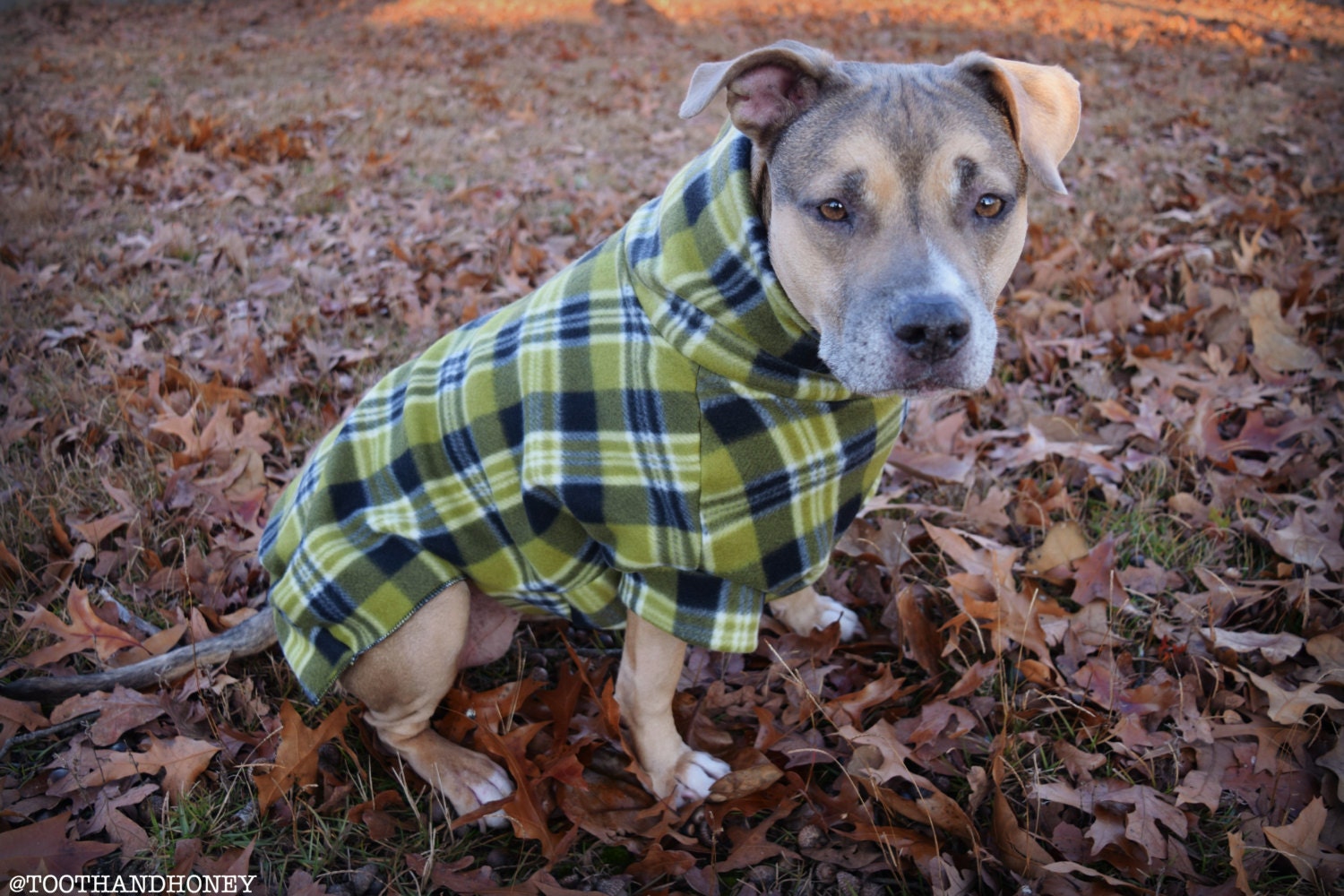 LARGE DOG JACKET /coat/pitbull/large breed/ olive plaid