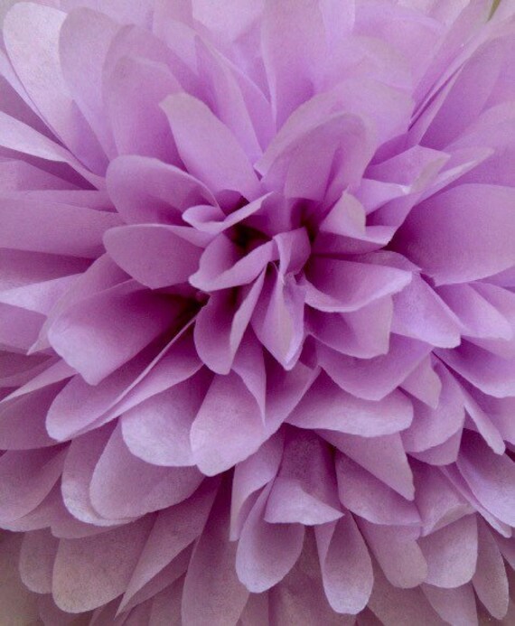 Lilac Tissue pom pom/party poms/birthday