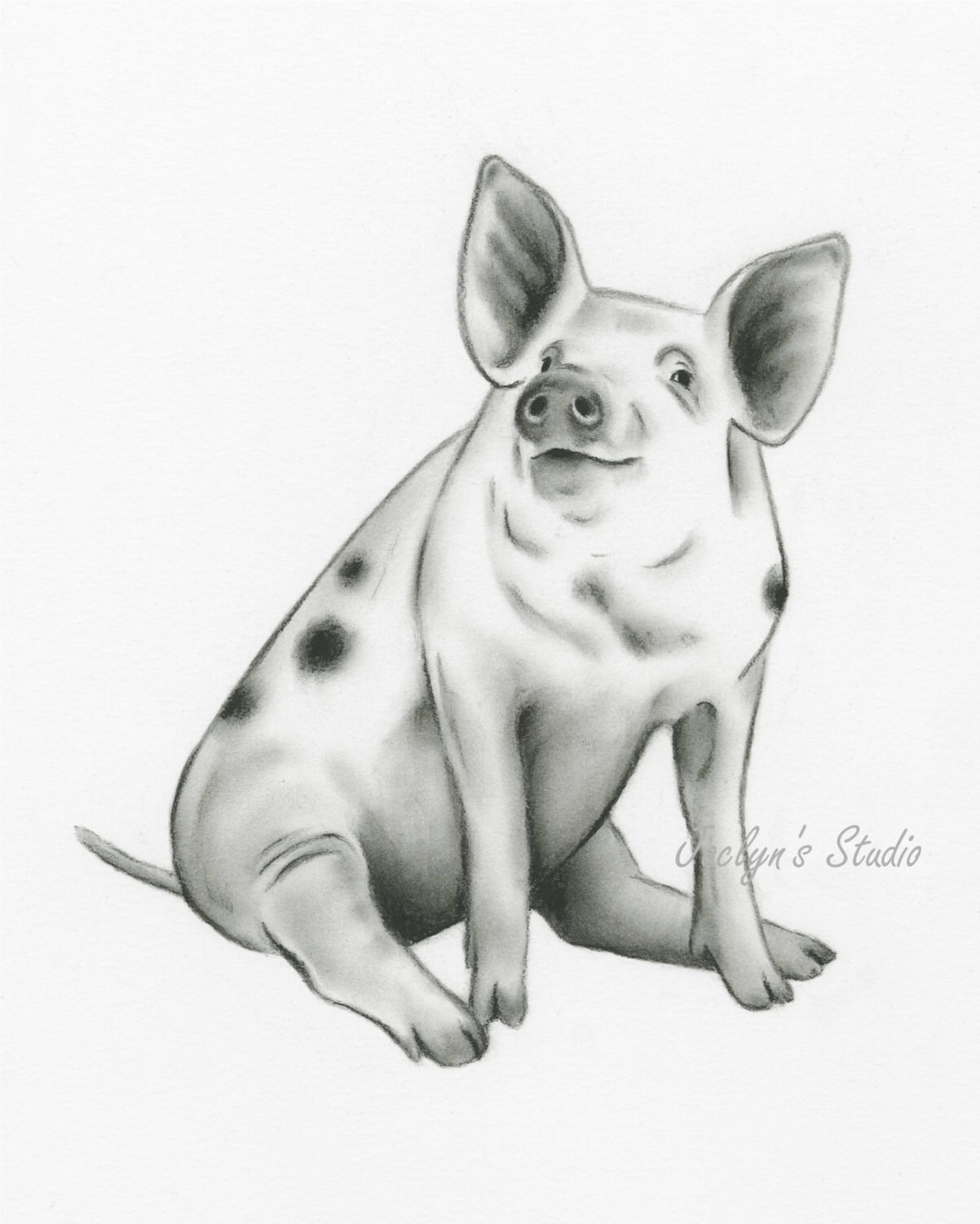 Uncategorized Baby Pig Drawing spotted pig art charcoal drawing 810 pig