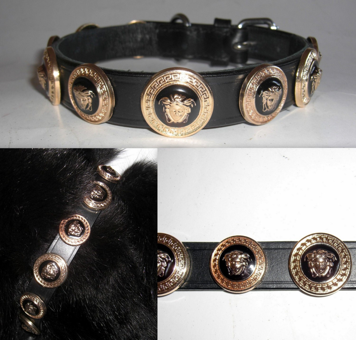 Versace Gold Medusa Head Studded Designer dog collar. Large