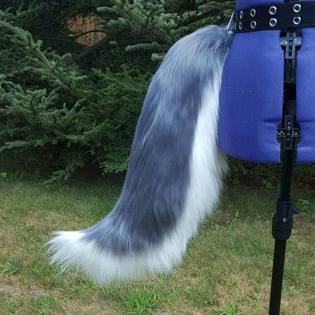 Classic Grey Wolf Tail