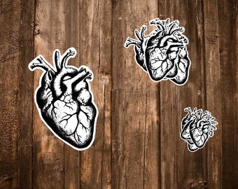 Heart Stickers - 5 Anatomical Heart Stickers/Science Gifts,Valentine Stickers, Black and White Hand Drawn Anatomy Sticker Pack, Medical Gift