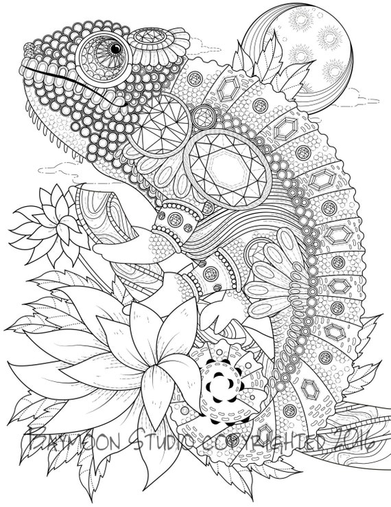 Download Iguana Coloring Page Printable Coloring Pages by BAYMOONSTUDIO