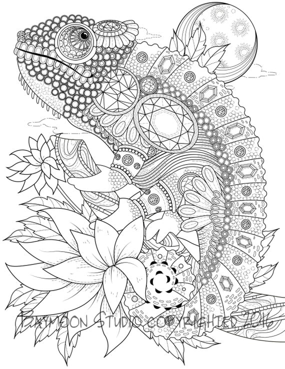 Download Iguana Coloring Page Printable Coloring Pages by BAYMOONSTUDIO