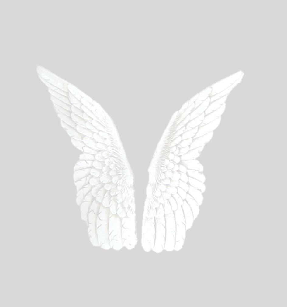 Large white Angel Wings Angel Wing Wall Decor Sympathy