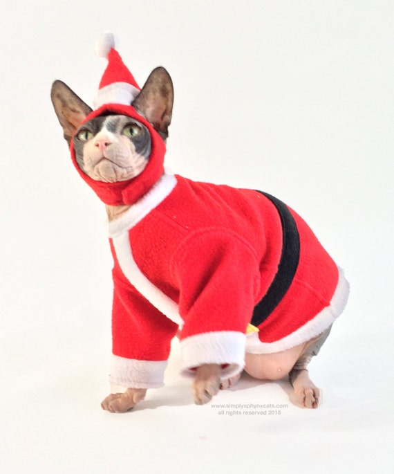 Santa Pet Costume Cat hat Sphynx Cat Clothes. Holiday pet