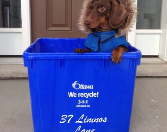 Recycling Bin Address Sticker - Vinyl Address Sign - Garbage Bin Label - House Number Sticker - Vinyl House Number - Personalized Address