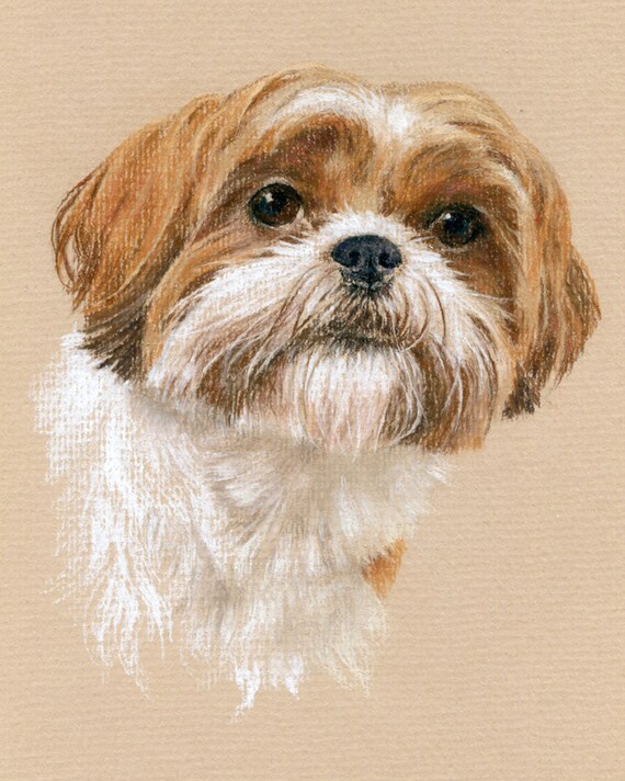 Custom Pet Portrait. Pastel drawing / painting from photo. by