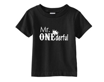 Mr. ONEderful Boys 1st Birthday shirt - First Birthday Pictures Tee - One year old boy