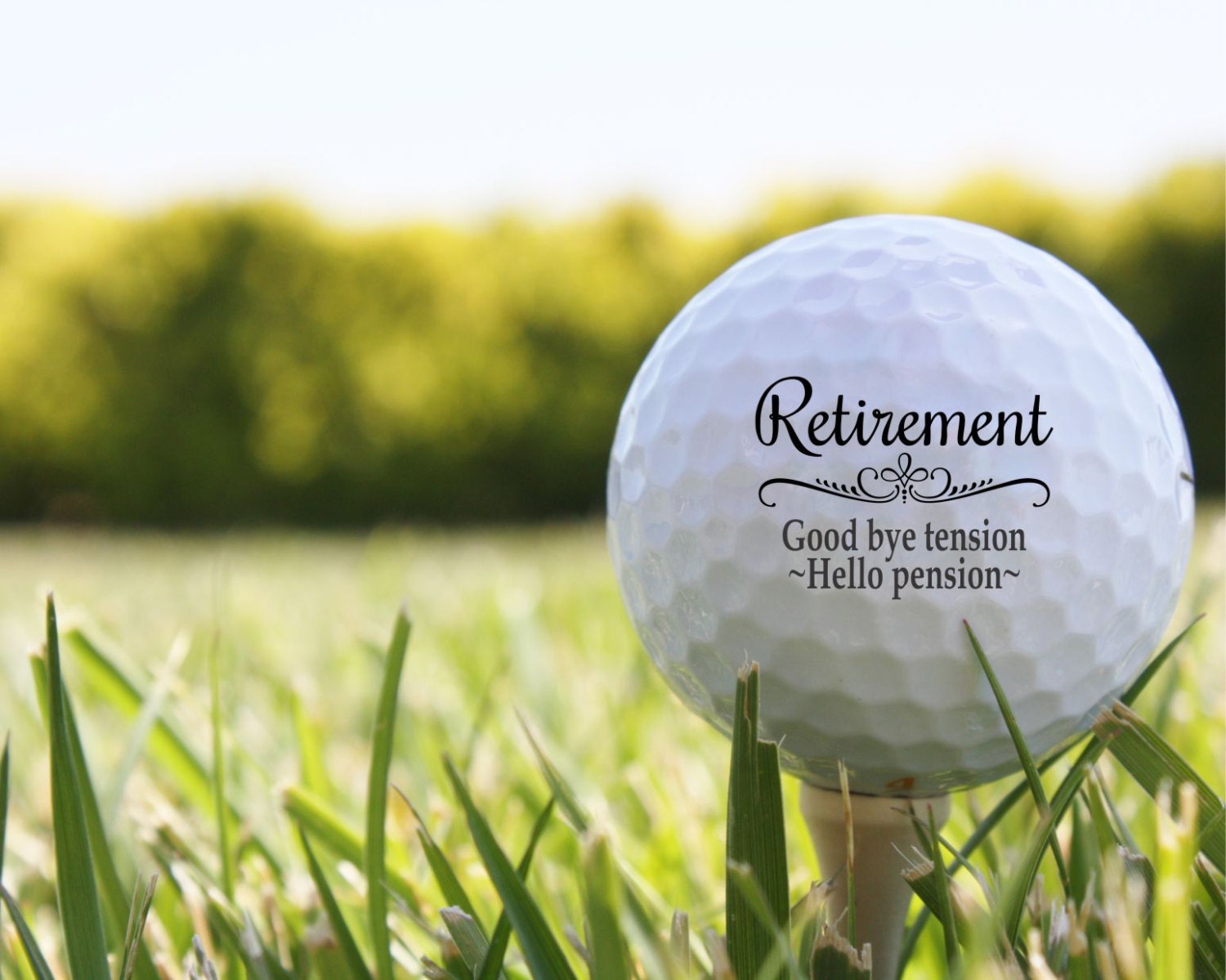 SHIPS FAST Retirement Gift Golf Balls Retirement Gifts for